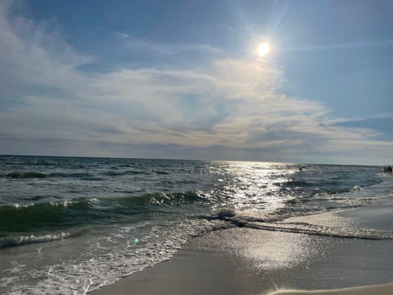 Grayton Beach State Park