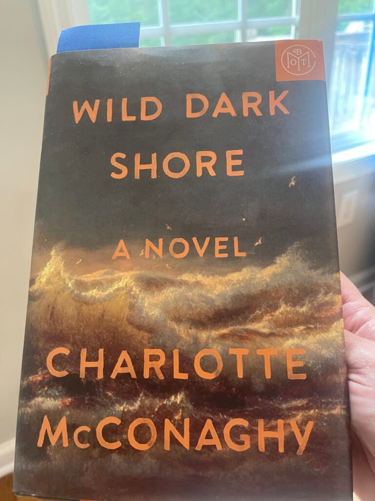 Wild Dark Shore Review