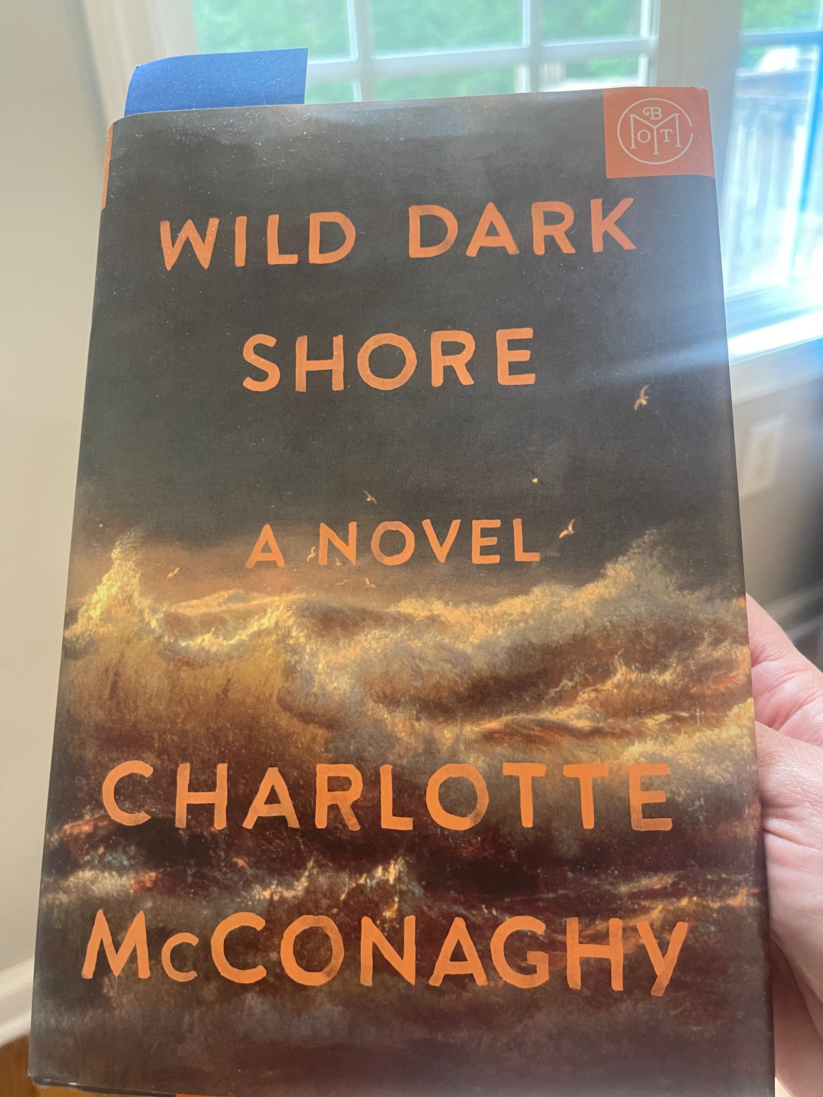 Book cover of Wild Dark Shore by Charlotte McConaghy