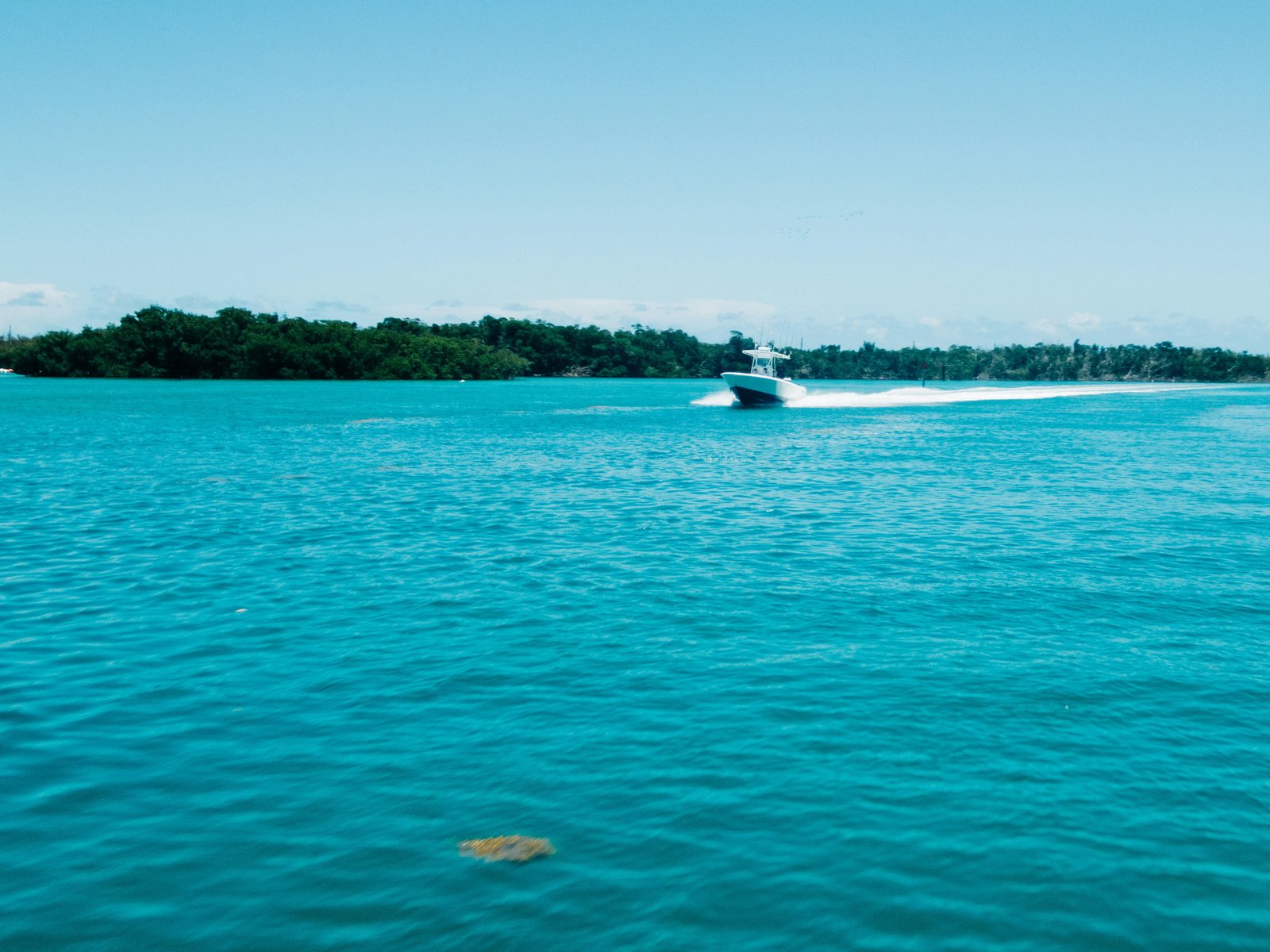 Boat speeding across bright blue water near Key West