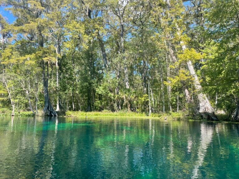 Silver Springs State Park Camping and Kayaking