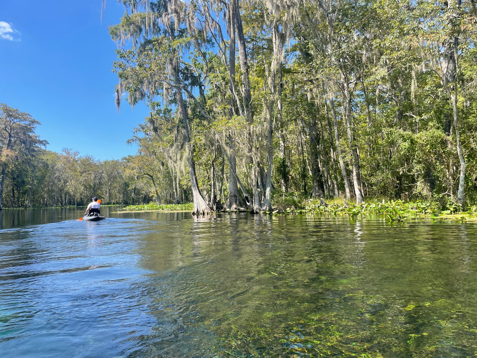 Kayaker paddling on the Silver River beneath cypress trees at Silver Springs State Park