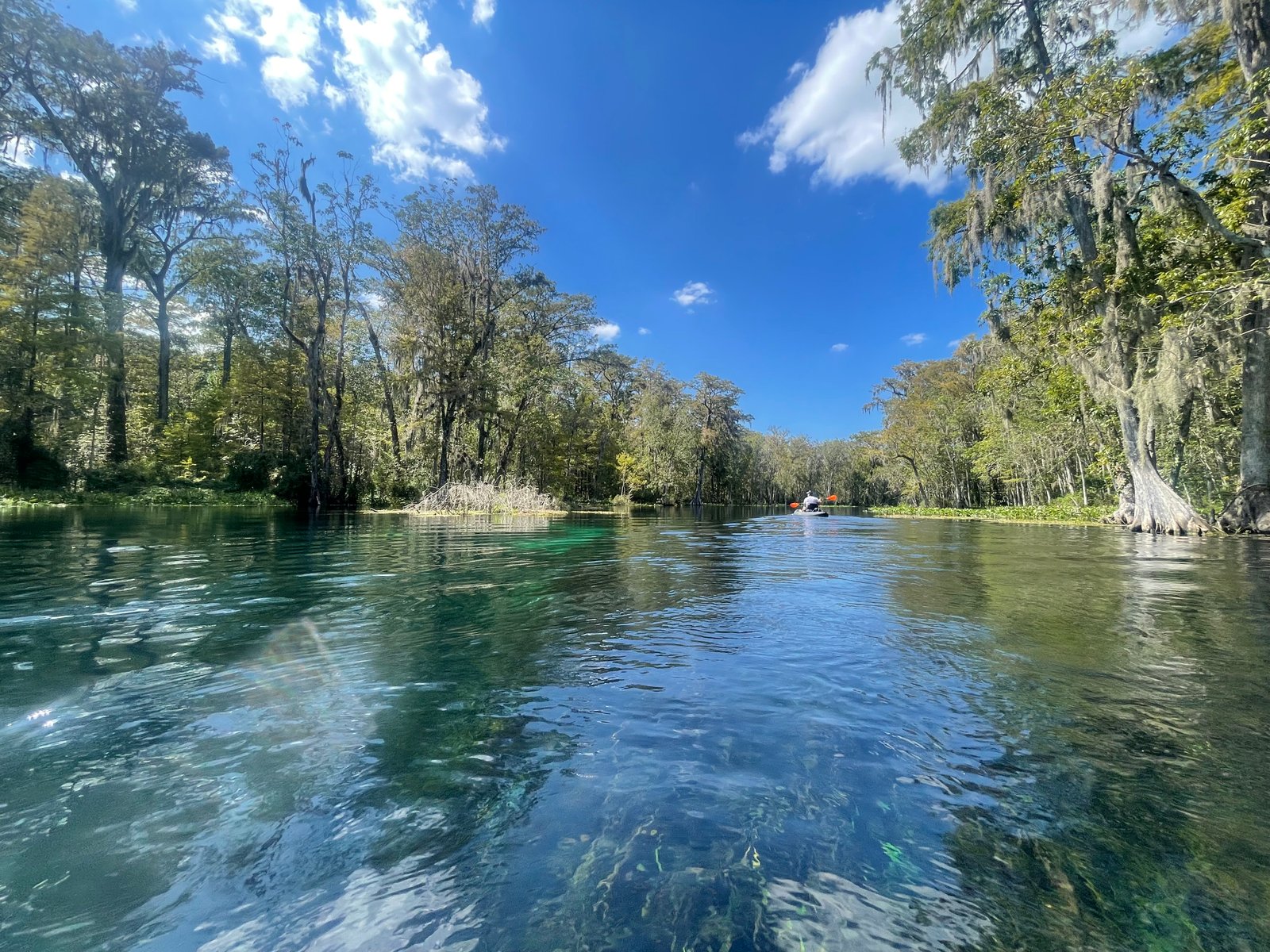 Kayaking on the clear Silver River through Silver Springs State Park in Florida