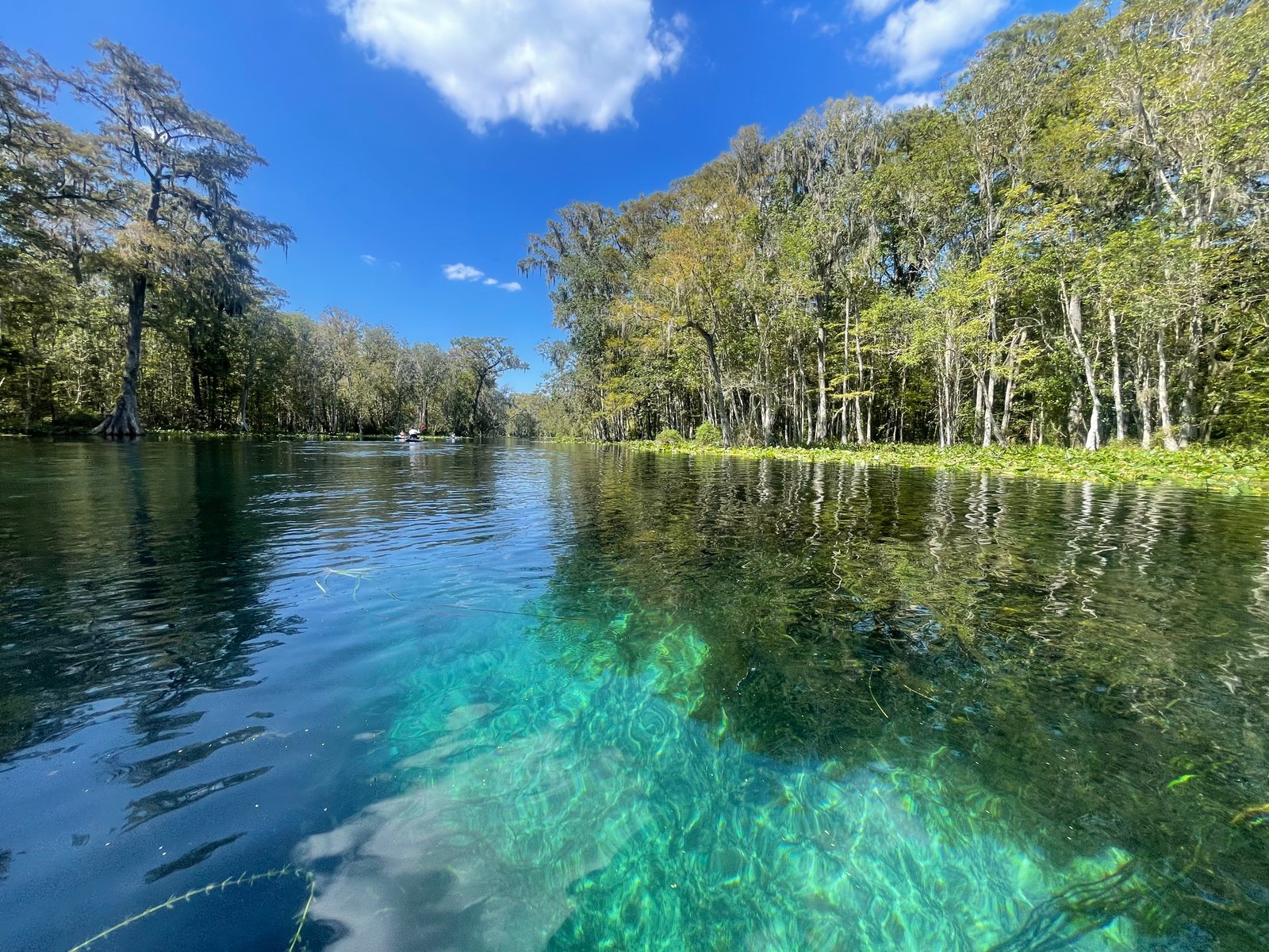 Turquoise spring water and tree reflections along the Silver River at Silver Springs State Park