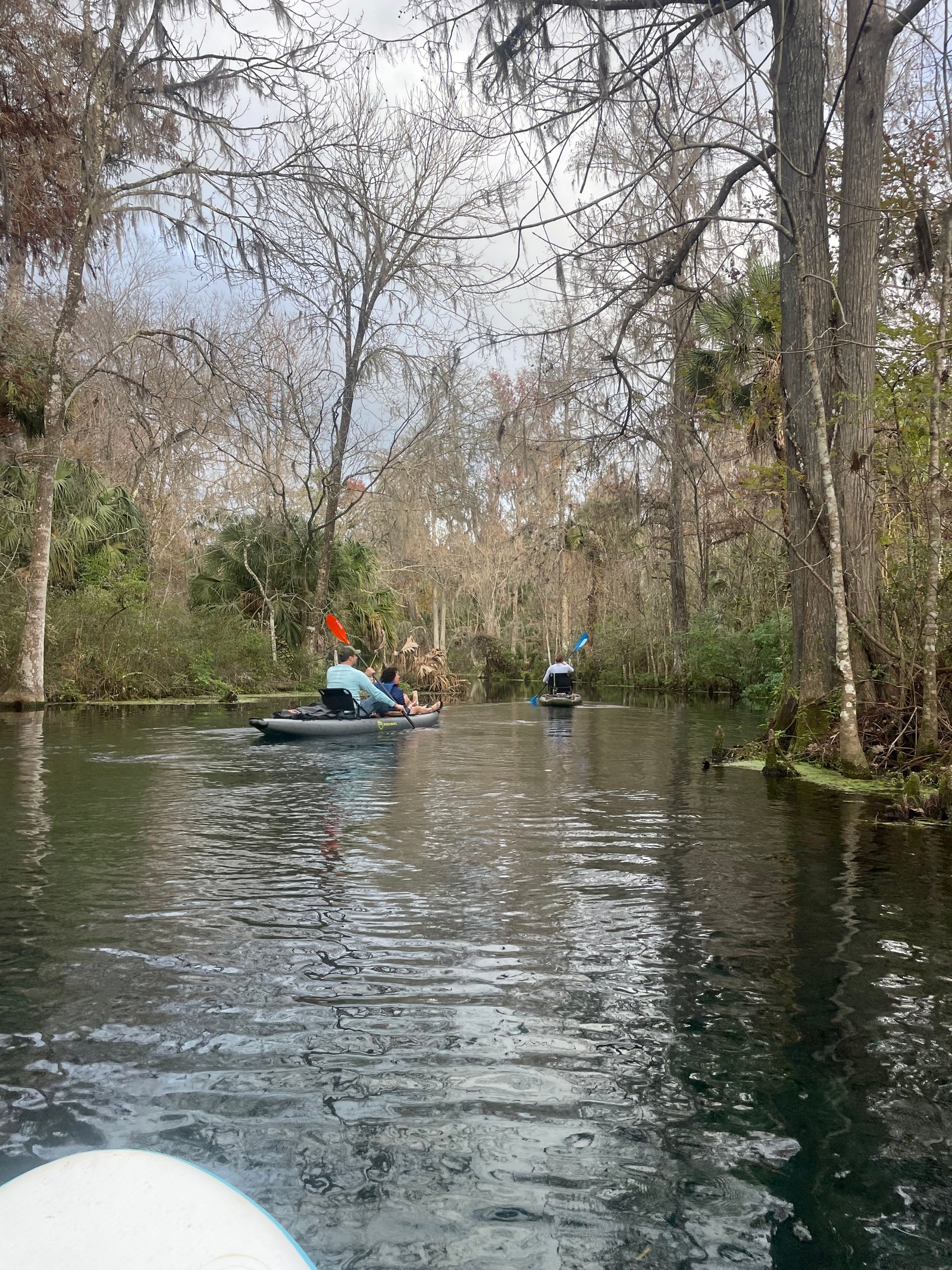 Winter kayaking on a quiet section of the Silver River near Silver Springs State Park campground