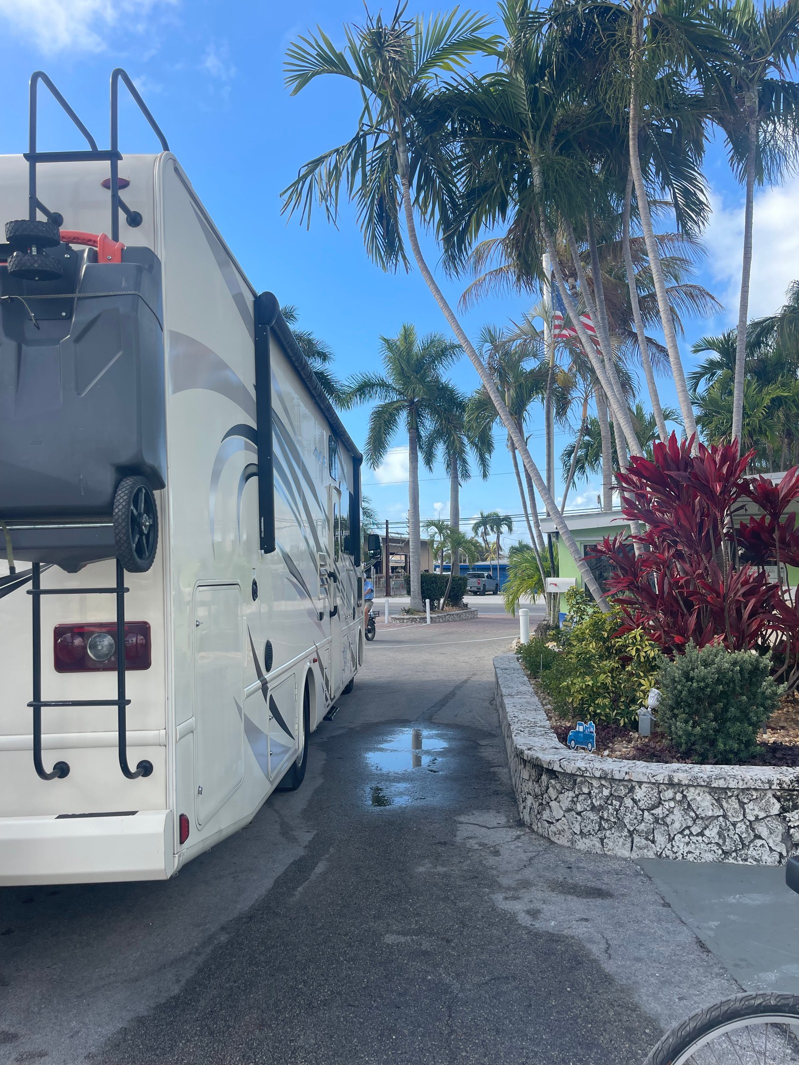 2018 Thor ACE 30.2 parked along a palm-lined campground lane