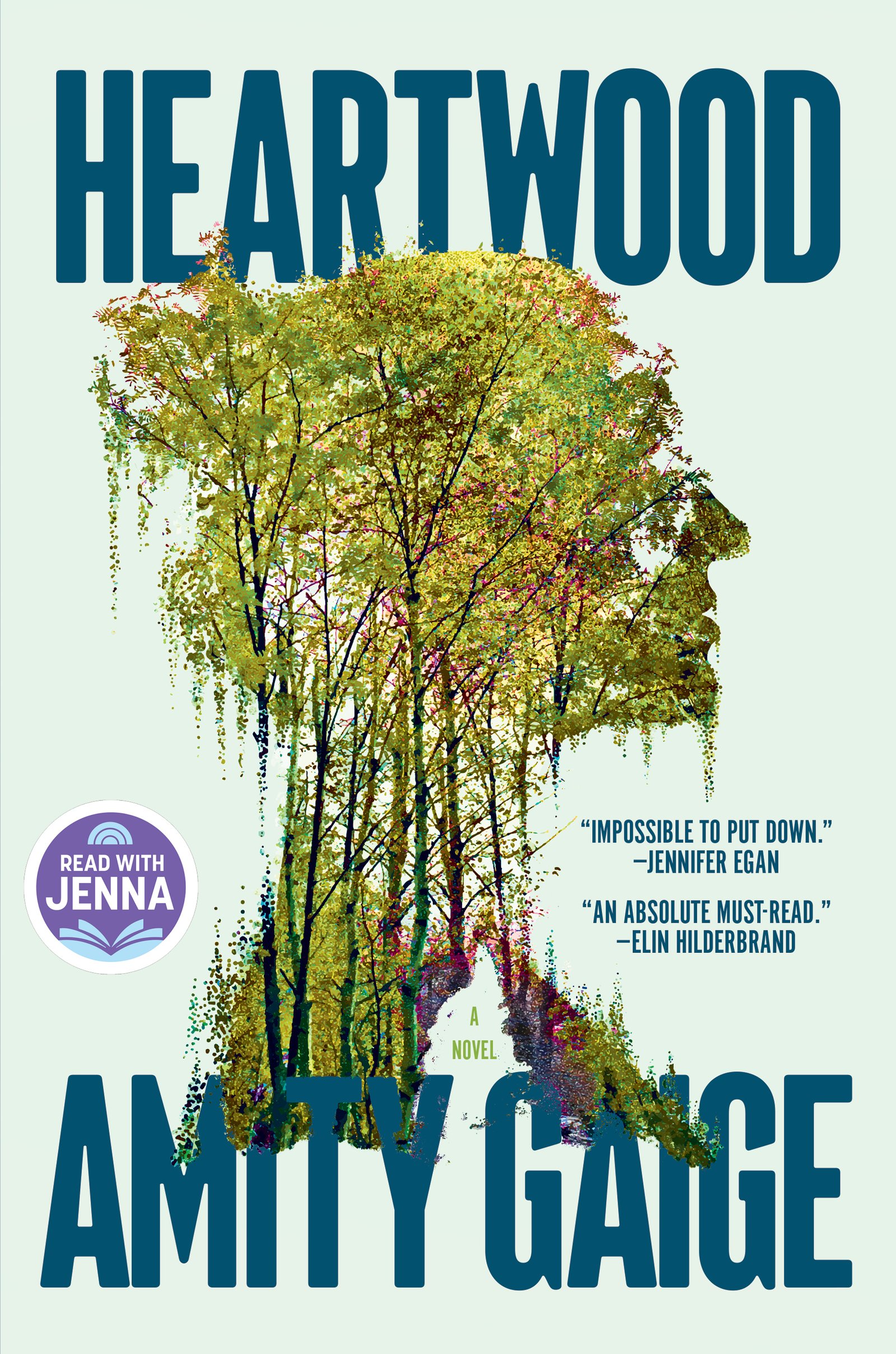 Book cover of Heartwood by Amity Gaige
