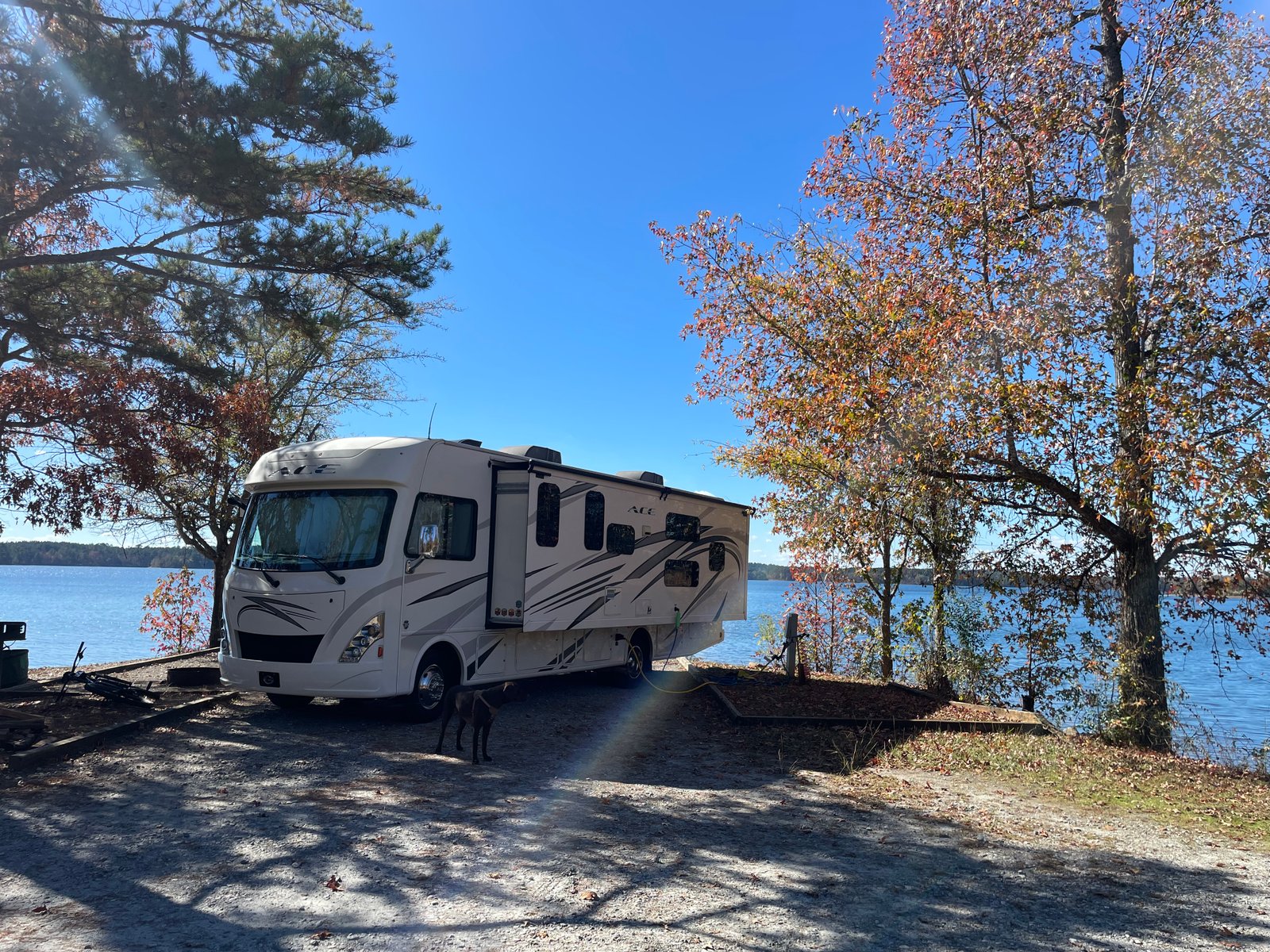 Shaded RV campsite near the water at Dames Ferry State Park Campground