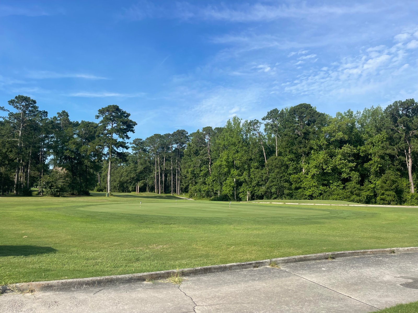 Tree-lined section of Brazell's Creek Golf Course at Jack Hill State Park
