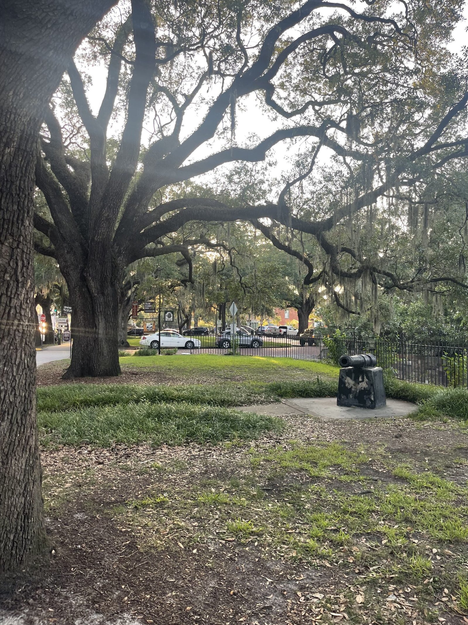 Historic Fort Screven grounds with cannon under oak trees on Tybee Island