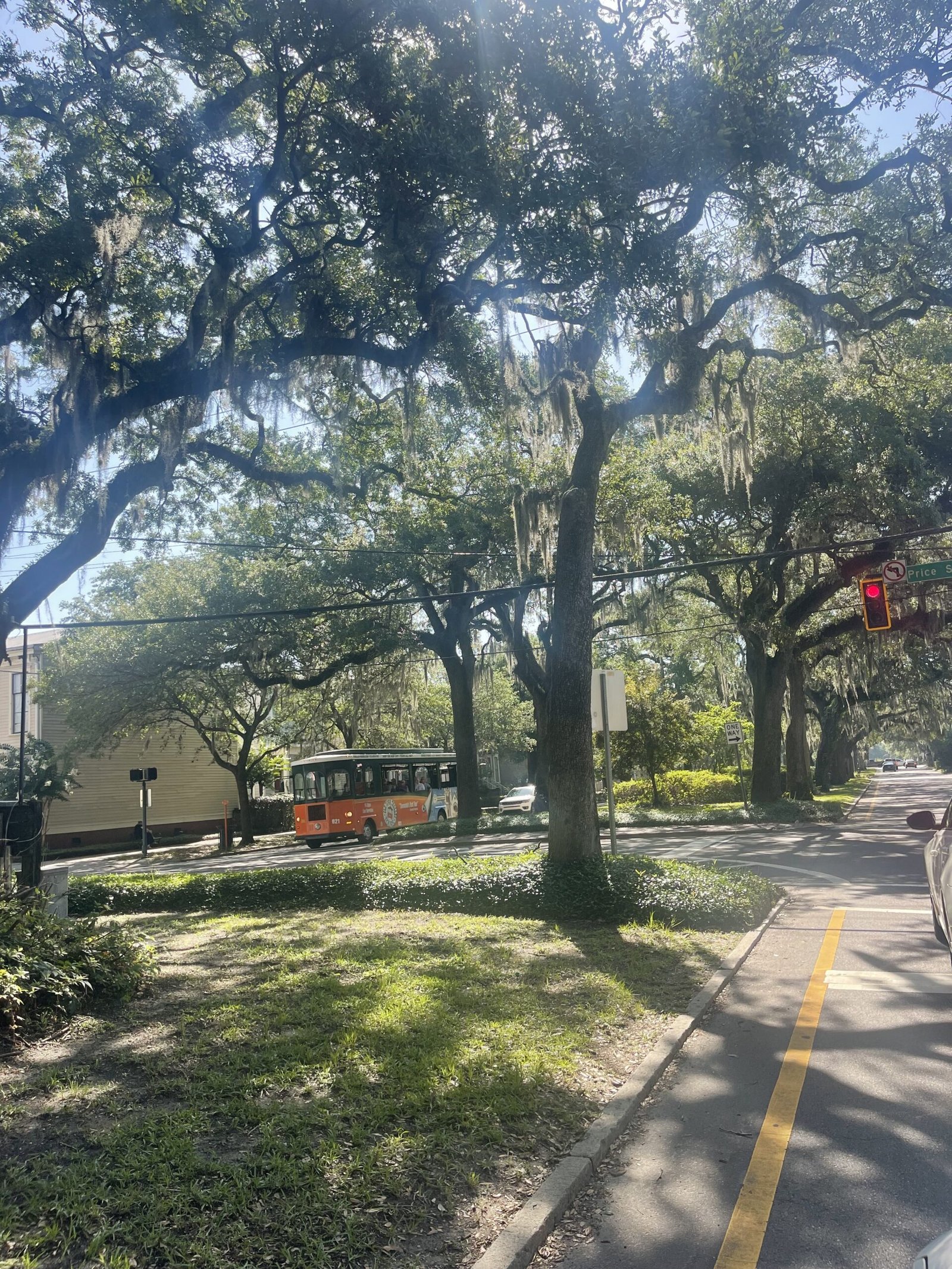 Old Town Trolley driving under moss-draped oak trees on a Savannah street