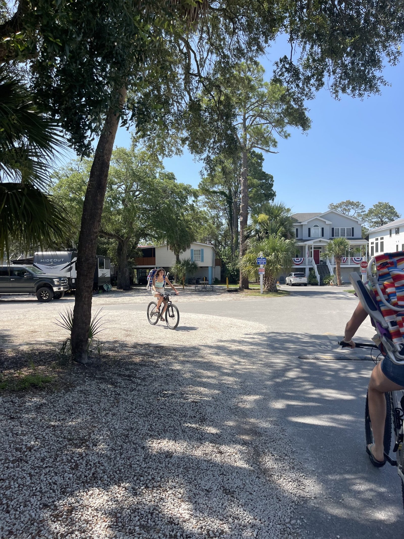 Bike-friendly street on Tybee Island lined with cottages and palm trees