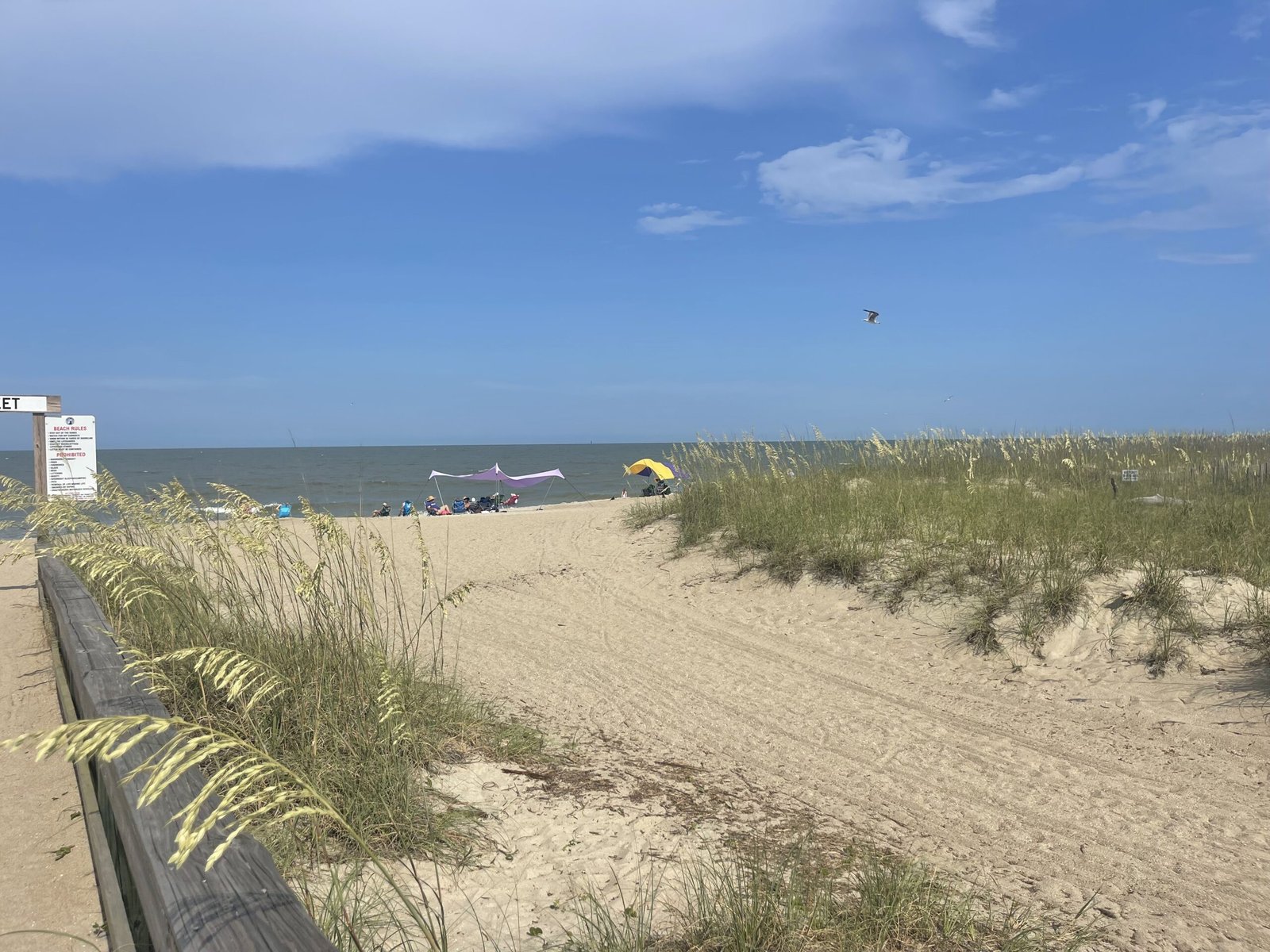 Sand dunes and sea oats leading to North Beach on Tybee Island